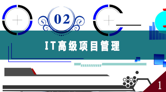 IT高级项目管理