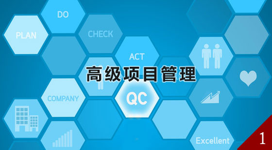 高级项目管理